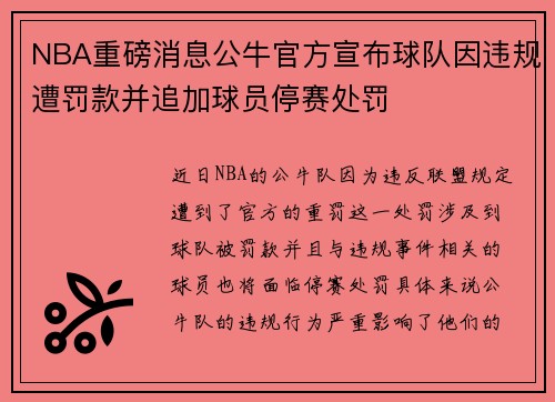 NBA重磅消息公牛官方宣布球队因违规遭罚款并追加球员停赛处罚